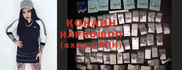 стафф Аркадак