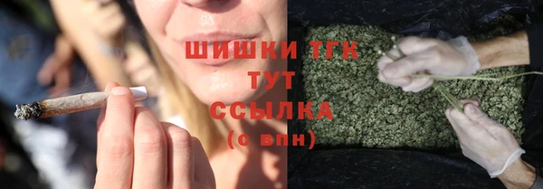 молекула духа Богородск