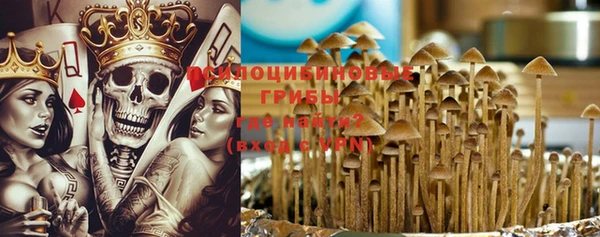 дмт Арсеньев